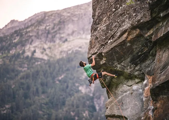 فندق Der Siegeler - Lifestylehotel Rocks مايرهوفن